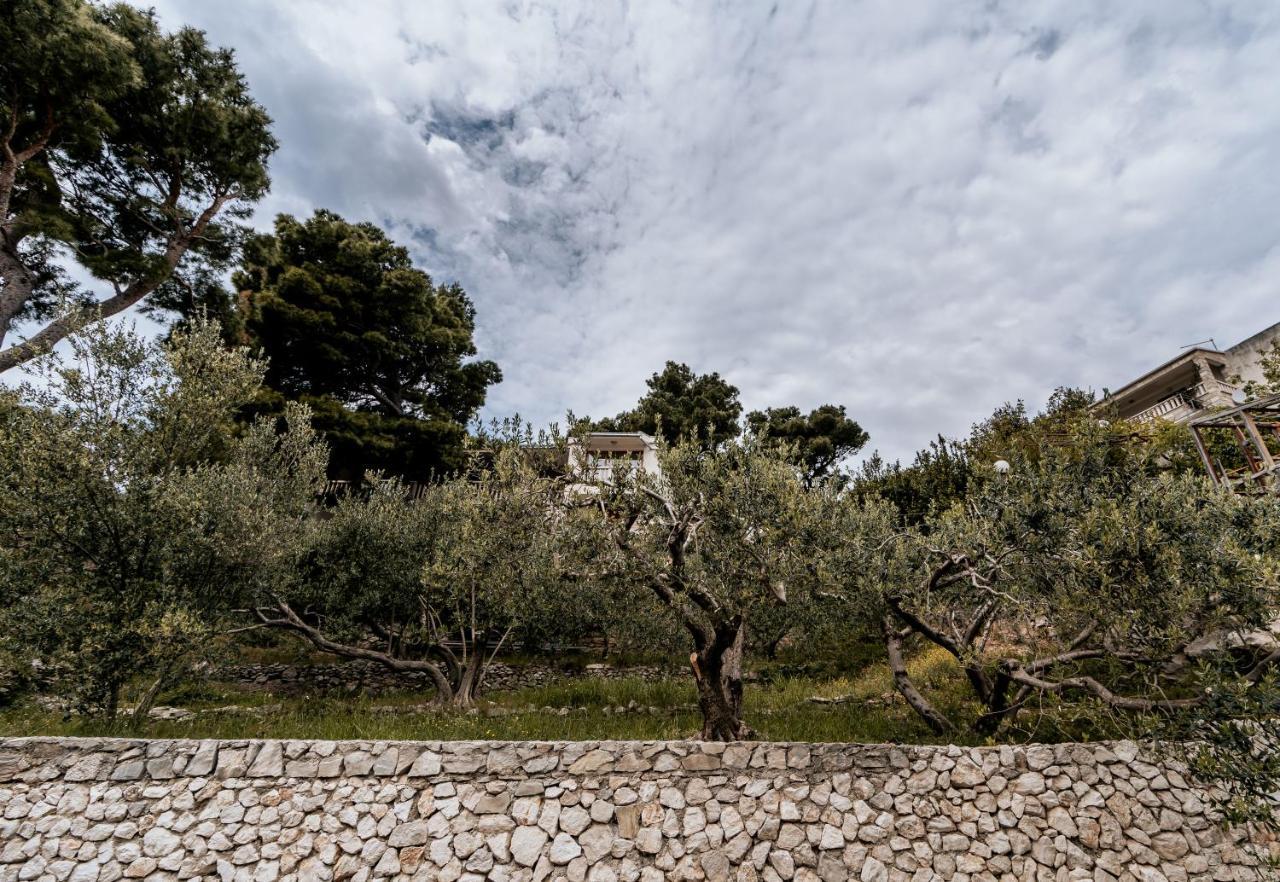 Villa Amore Brela Zewnętrze zdjęcie